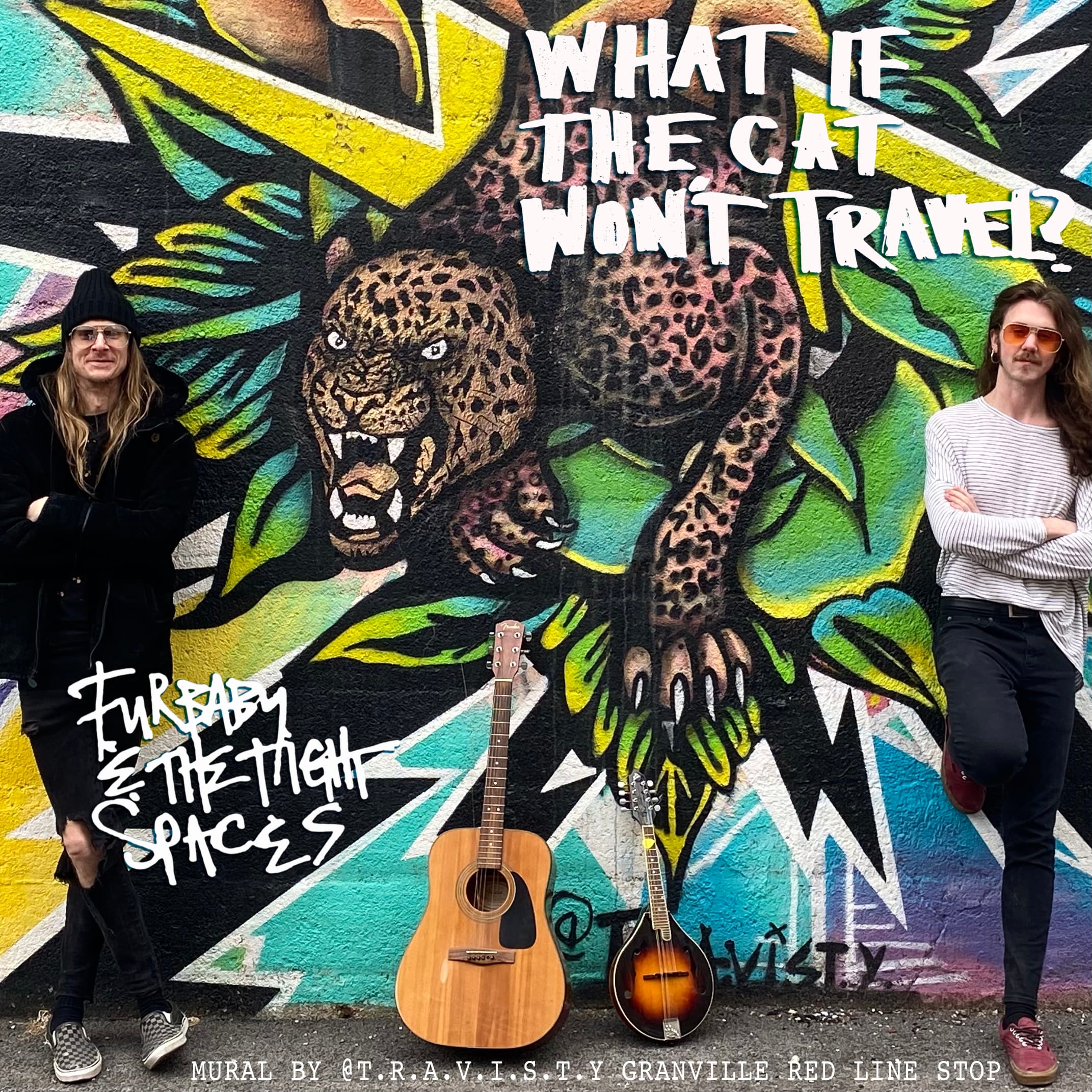 What if the Cat Won't Travel?